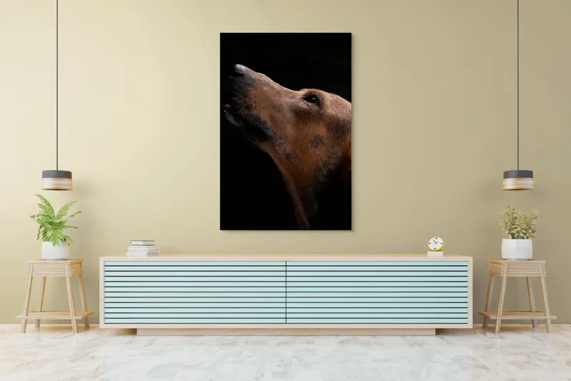 Tablou Canvas, "Câinele privind spre cer întunecat", 100 x 150 cm – poza 4
