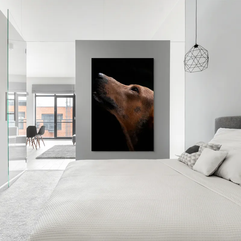 Tablou Canvas, "Câinele privind spre cer întunecat", 100 x 150 cm – poza 5
