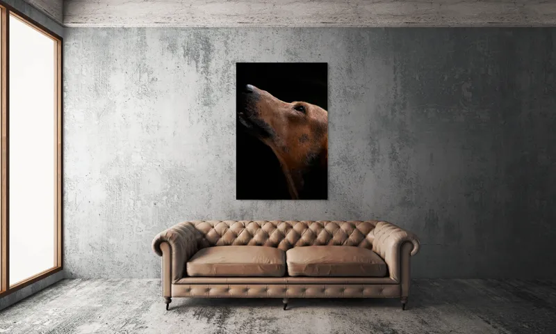 Tablou Canvas, "Câinele privind spre cer întunecat", 100 x 150 cm – poza 6