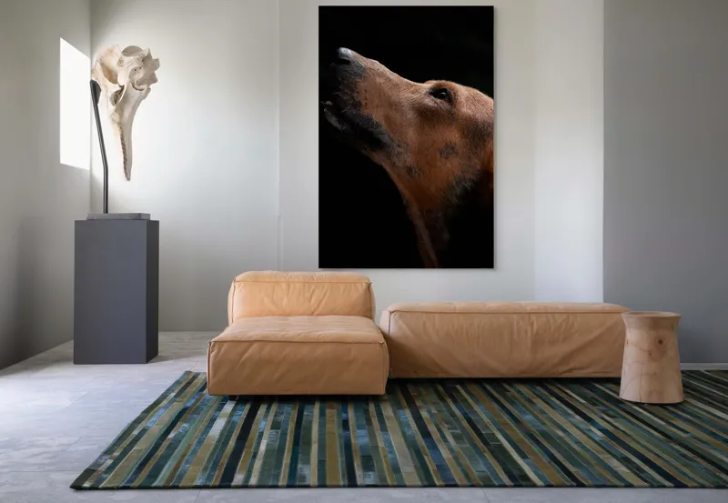 Tablou Canvas, "Câinele privind spre cer întunecat", 100 x 150 cm – poza 7