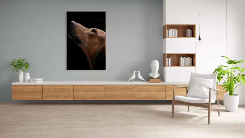 Tablou Canvas, "Câinele privind spre cer întunecat", 100 x 150 cm – poza 8