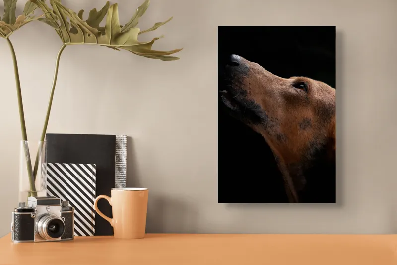 Tablou Canvas, "Câinele privind spre cer întunecat", 26 x 39 cm – poza 3