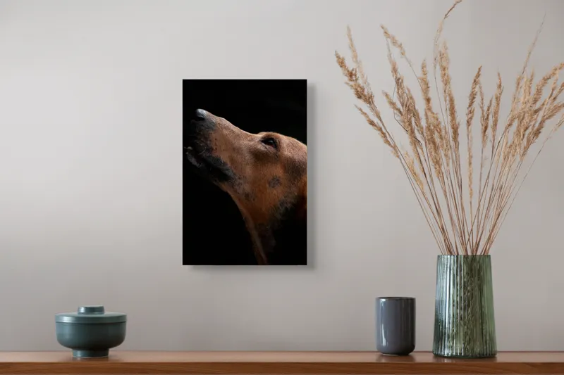 Tablou Canvas, "Câinele privind spre cer întunecat", 26 x 39 cm – poza 5