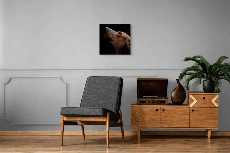 Tablou Canvas, "Câinele privind spre cer întunecat", 50 x 50 cm – poza 6