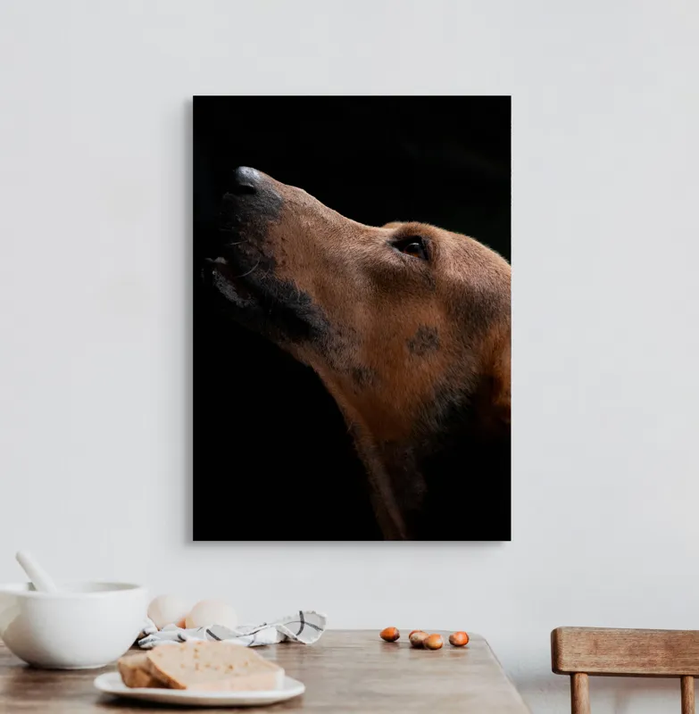 Tablou Canvas, "Câinele privind spre cer întunecat", 50 x 70 cm – poza 3