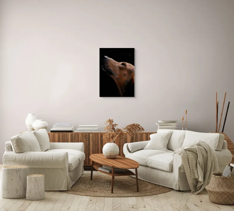Tablou Canvas, "Câinele privind spre cer întunecat", 50 x 70 cm – poza 4
