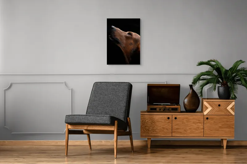 Tablou Canvas, "Câinele privind spre cer întunecat", 50 x 70 cm – poza 8