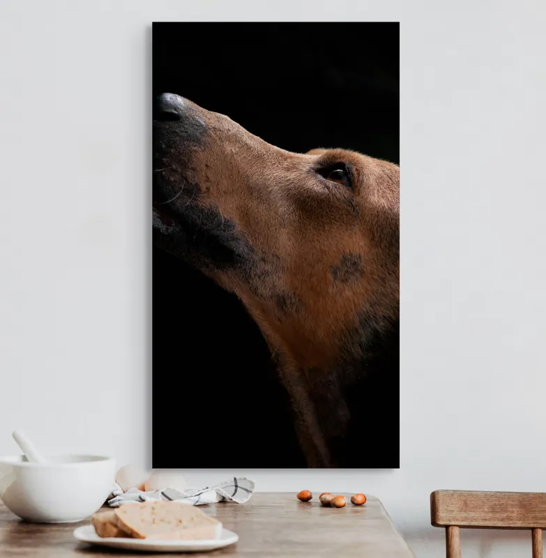 Tablou Canvas, "Câinele privind spre cer întunecat", 50 x 90 cm – poza 3