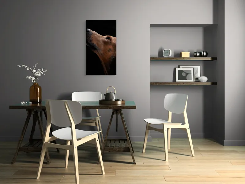 Tablou Canvas, "Câinele privind spre cer întunecat", 50 x 90 cm – poza 4