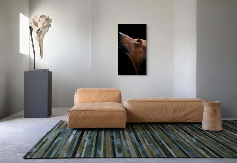 Tablou Canvas, "Câinele privind spre cer întunecat", 50 x 90 cm – poza 5