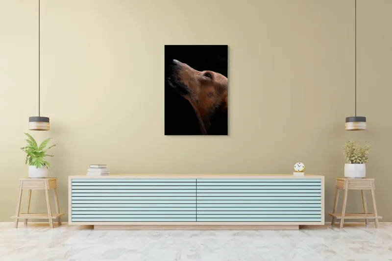 Tablou Canvas, "Câinele privind spre cer întunecat", 70 x 100 cm – poza 5