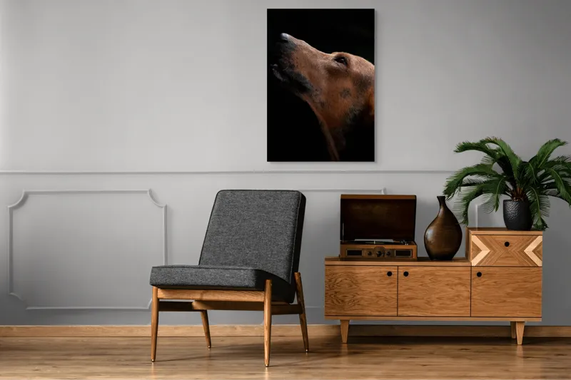Tablou Canvas, "Câinele privind spre cer întunecat", 70 x 100 cm – poza 6