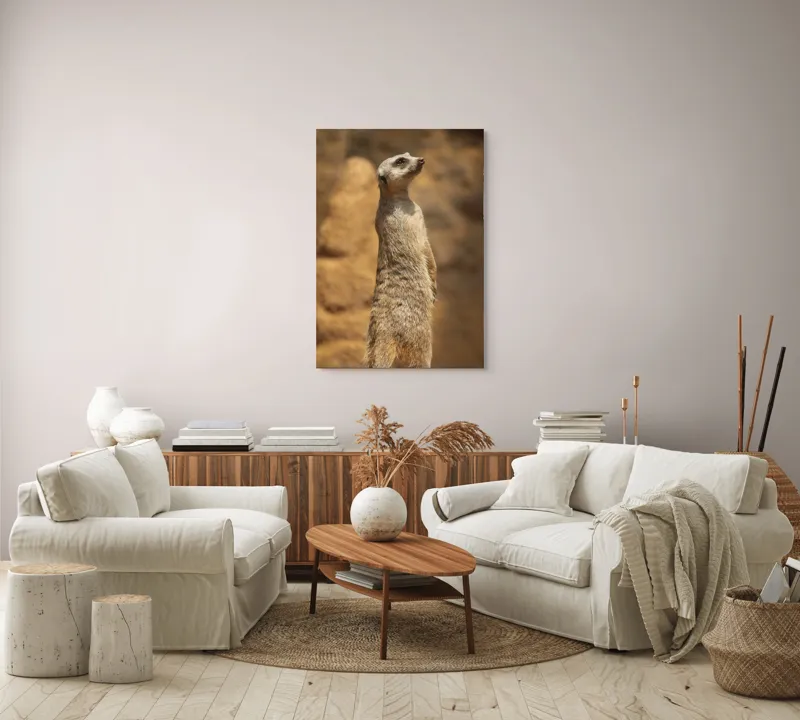 Tablou Canvas, "Suricata în poziție de veghe", Meerkat, Vigilează, Alertă, Soare, Nisip, Stâncă, Blană, Observație, 70 x 100 cm – poza 4