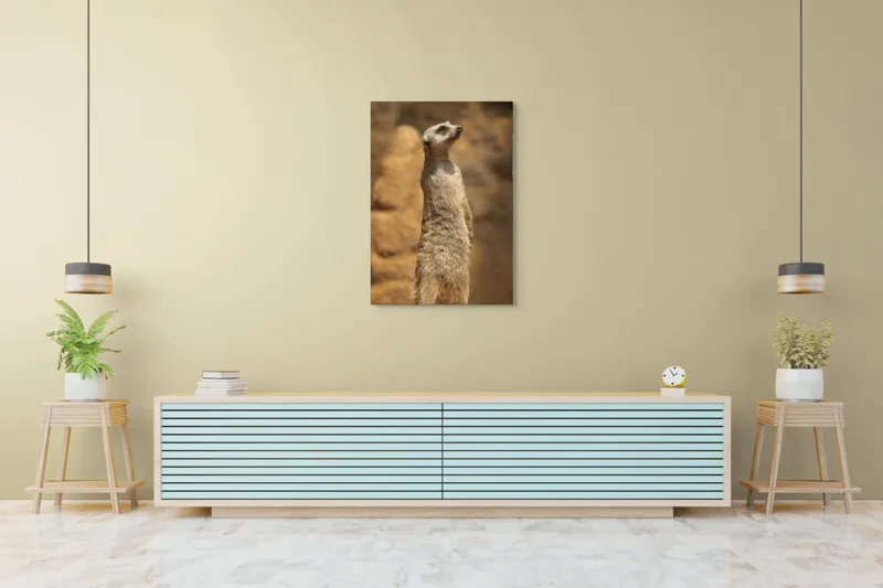 Tablou Canvas, "Suricata în poziție de veghe", Meerkat, Vigilează, Alertă, Soare, Nisip, Stâncă, Blană, Observație, 70 x 100 cm – poza 5