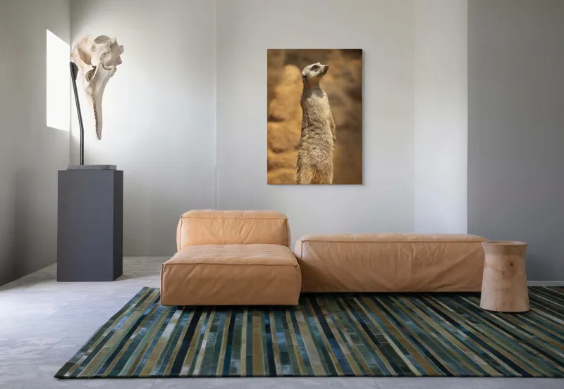 Tablou Canvas, "Suricata în poziție de veghe", Meerkat, Vigilează, Alertă, Soare, Nisip, Stâncă, Blană, Observație, 70 x 100 cm – poza 7