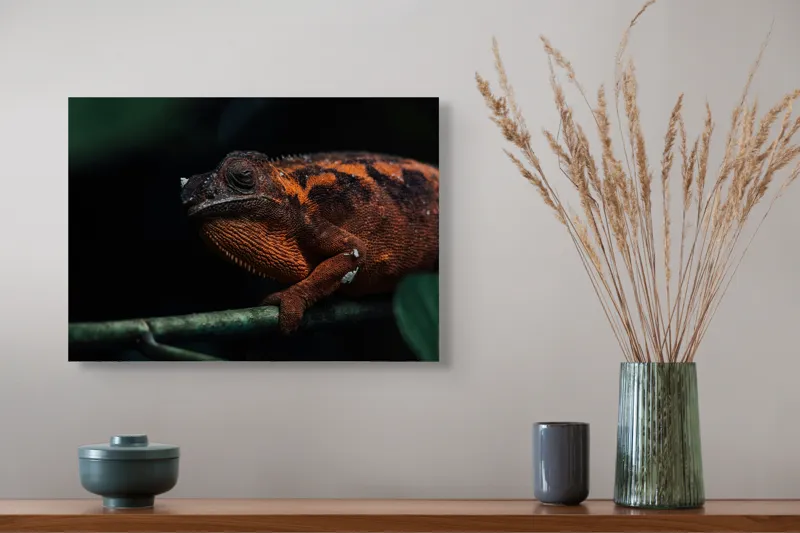 Tablou Canvas, "Cameleonul în umbra frunzelor verzi", Șopârlă, Camuflaj, Textură, Natură, Frunziș, Contrast, Ochii, Reptilă, 54 x 39 cm – poza 4