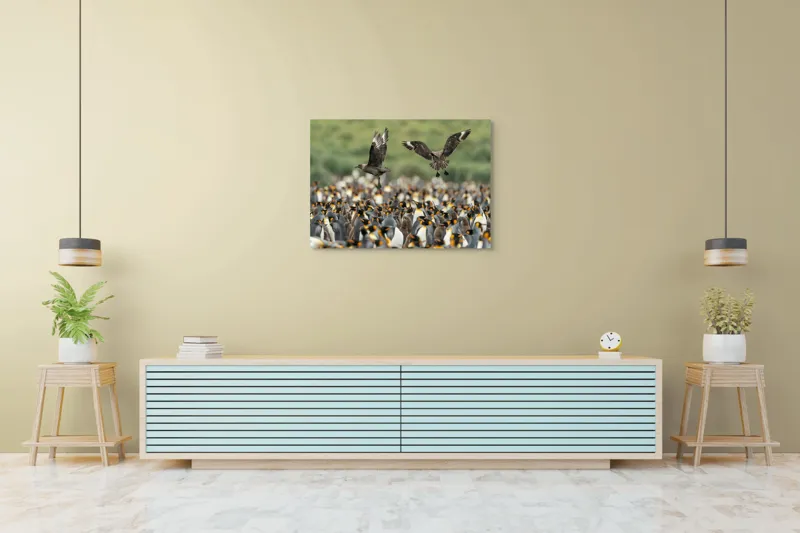 Tablou Canvas, "Păsările de pradă și împărăția pinguinilor", Pinguini, Stol, Zbor, Natura, Verde, Agitație, Sosire, 100 x 70 cm – poza 4
