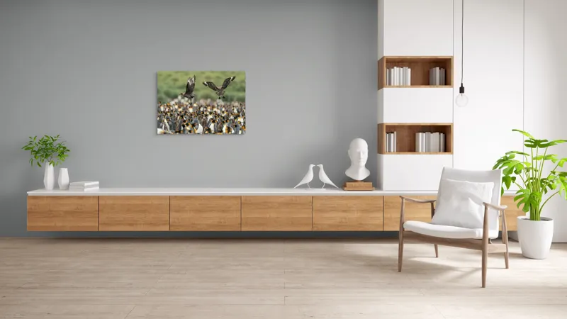 Tablou Canvas, "Păsările de pradă și împărăția pinguinilor", Pinguini, Stol, Zbor, Natura, Verde, Agitație, Sosire, 100 x 70 cm – poza 6