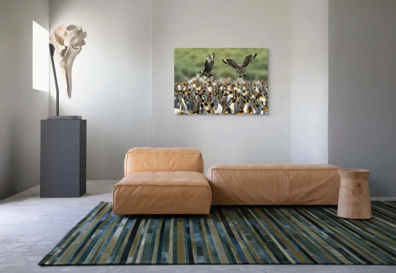 Tablou Canvas, "Păsările de pradă și împărăția pinguinilor", Pinguini, Stol, Zbor, Natura, Verde, Agitație, Sosire, 100 x 70 cm – poza 7