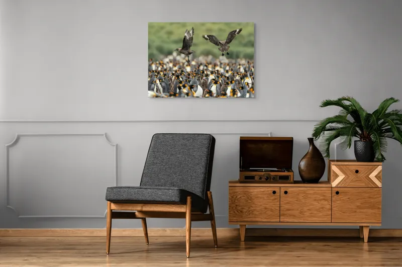Tablou Canvas, "Păsările de pradă și împărăția pinguinilor", Pinguini, Stol, Zbor, Natura, Verde, Agitație, Sosire, 100 x 70 cm – poza 8