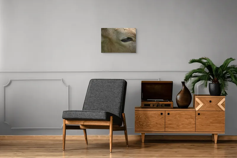 Tablou Canvas, "Ochiul blând al bovinei adormite", Animal, Blană, Ochi, Gene, Calm, Natural, Apropiere, Detaliu, 54 x 39 cm – poza 7