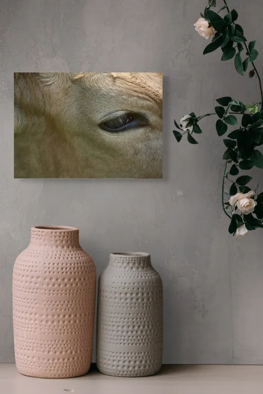 Tablou Canvas, "Ochiul blând al bovinei adormite", Animal, Blană, Ochi, Gene, Calm, Natural, Apropiere, Detaliu, 54 x 39 cm – poza 8
