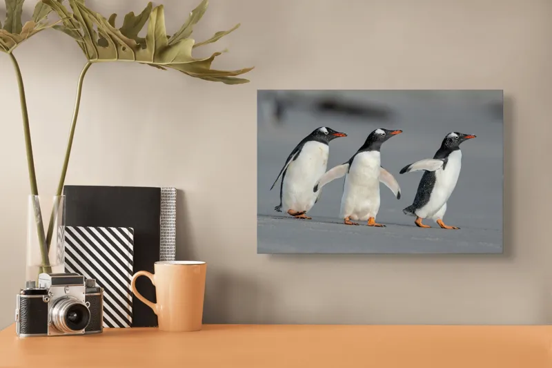 Tablou Canvas, "Pinguini în marș pe plajă", Pinguini, Mers, Plajă, Aripi, Galben, Negru, Marin, Distracție, Familie, Frig., 39 x 26 cm – poza 3