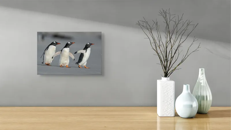 Tablou Canvas, "Pinguini în marș pe plajă", Pinguini, Mers, Plajă, Aripi, Galben, Negru, Marin, Distracție, Familie, Frig., 39 x 26 cm – poza 8