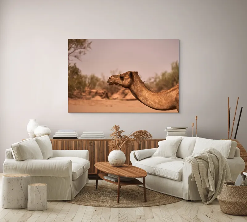 Tablou Canvas, "Călătorie prin deșertul arid", Deșert, Cămilă, Nisip, Vegetație, Cer, Natură, Sălbăticie, Umedală, 150 x 100 cm – poza 3