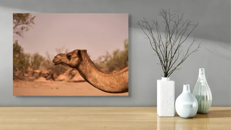 Tablou Canvas, "Călătorie prin deșertul arid", Deșert, Cămilă, Nisip, Vegetație, Cer, Natură, Sălbăticie, Umedală, 70 x 50 cm – poza 3