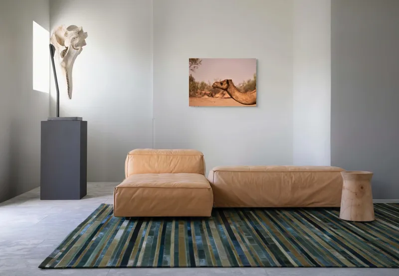 Tablou Canvas, "Călătorie prin deșertul arid", Deșert, Cămilă, Nisip, Vegetație, Cer, Natură, Sălbăticie, Umedală, 70 x 50 cm – poza 8