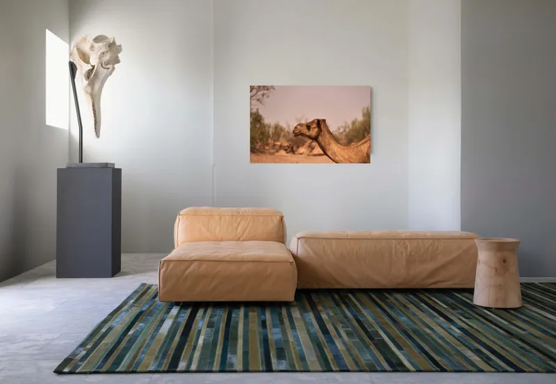 Tablou Canvas, "Călătorie prin deșertul arid", Deșert, Cămilă, Nisip, Vegetație, Cer, Natură, Sălbăticie, Umedală, 90 x 50 cm – poza 8