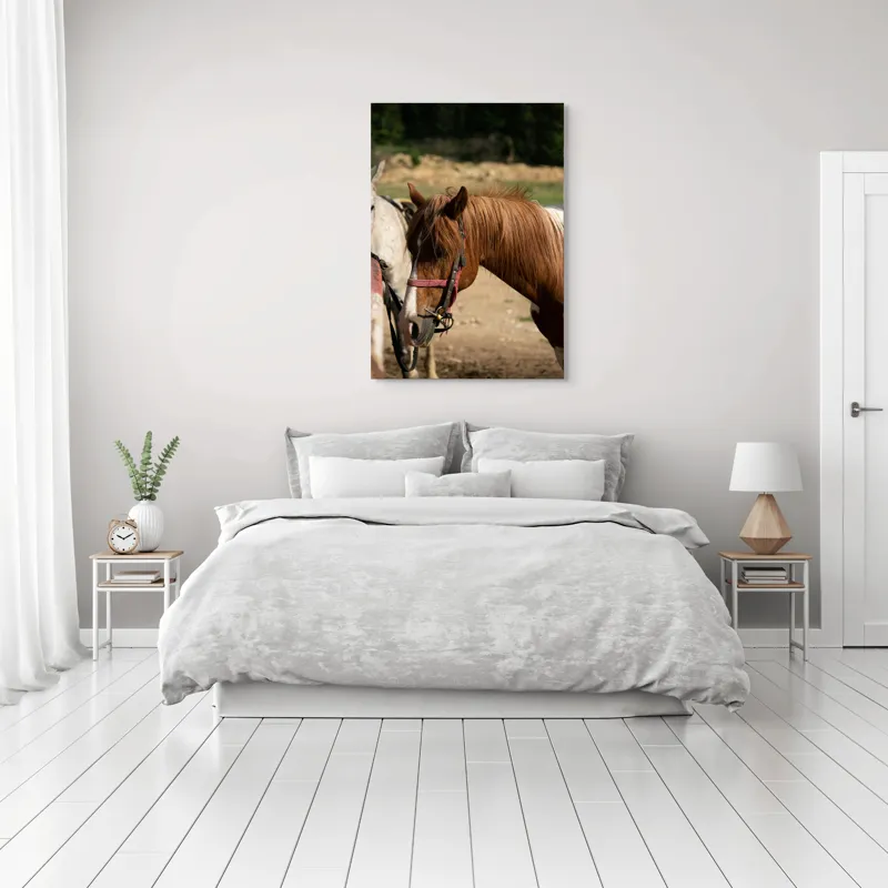 Tablou Canvas, "Cal odihnindu-se în soarele verii", Cal, Frumusețe, Căpestre, Natură, Blană, Verdeață, Priveliște, Soare, 70 x 100 cm – poza 3