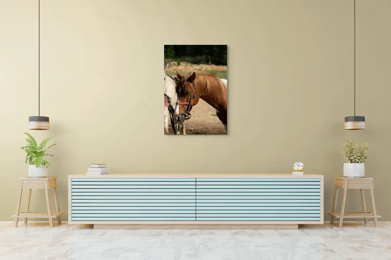 Tablou Canvas, "Cal odihnindu-se în soarele verii", Cal, Frumusețe, Căpestre, Natură, Blană, Verdeață, Priveliște, Soare, 70 x 100 cm – poza 5