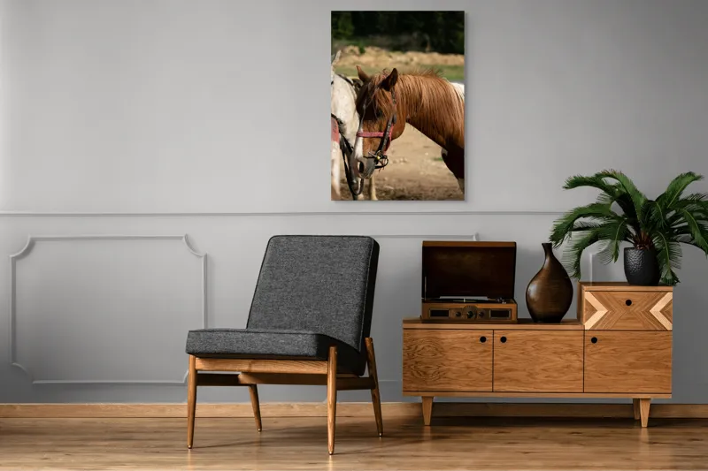 Tablou Canvas, "Cal odihnindu-se în soarele verii", Cal, Frumusețe, Căpestre, Natură, Blană, Verdeață, Priveliște, Soare, 70 x 100 cm – poza 6
