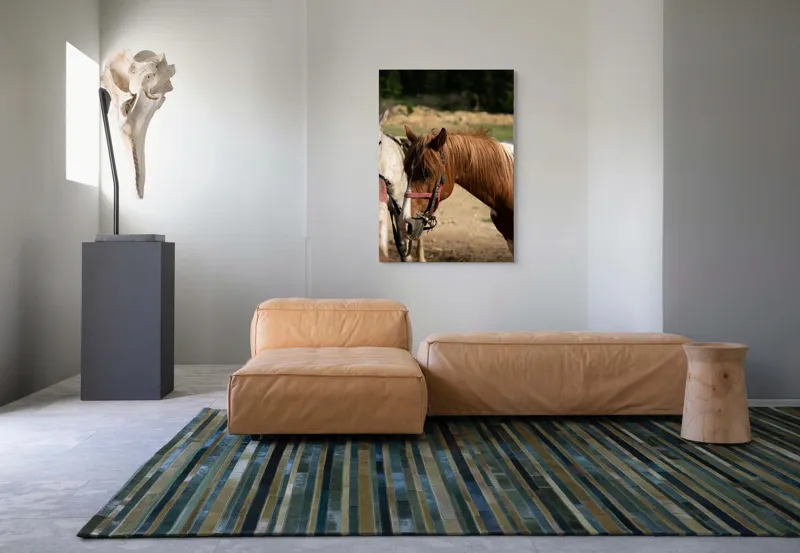 Tablou Canvas, "Cal odihnindu-se în soarele verii", Cal, Frumusețe, Căpestre, Natură, Blană, Verdeață, Priveliște, Soare, 70 x 100 cm – poza 7