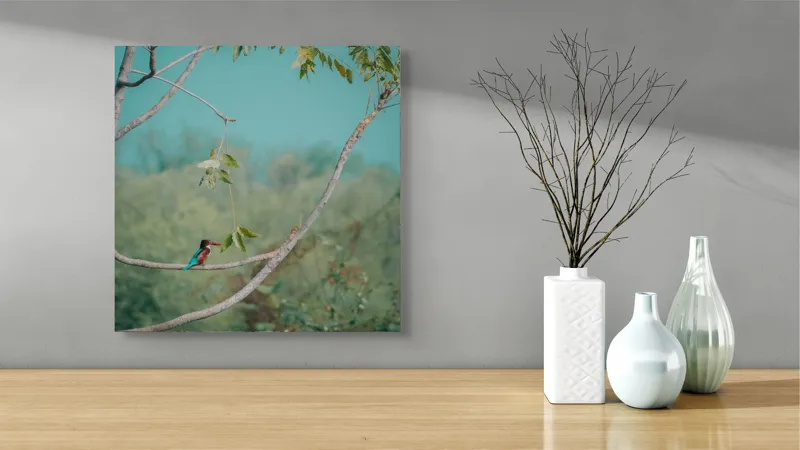 Tablou Canvas, "Pasărea albastră pe ramură subțire", Albastru, Frunziș, Pasăre, Ramură, Cer, Verde, Lumină, Natură, Tranquilitate, Frumusețe, 50 x 50 cm – poza 3