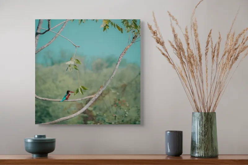 Tablou Canvas, "Pasărea albastră pe ramură subțire", Albastru, Frunziș, Pasăre, Ramură, Cer, Verde, Lumină, Natură, Tranquilitate, Frumusețe, 50 x 50 cm – poza 4