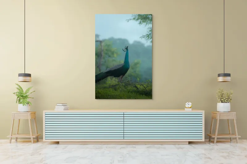 Tablou Canvas, "Pavo strălucitor în zori verzi", Păun, Verdeață, Ceață, Eleganță, Natură, Serenitate, Frumusețe, Pădure, Siluetă, Mister., 100 x 150 cm – poza 4