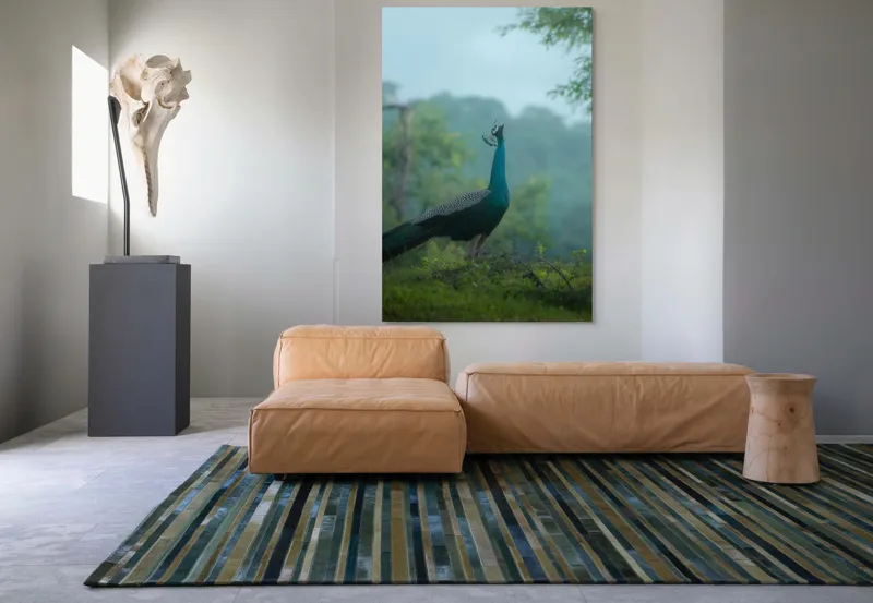Tablou Canvas, "Pavo strălucitor în zori verzi", Păun, Verdeață, Ceață, Eleganță, Natură, Serenitate, Frumusețe, Pădure, Siluetă, Mister., 100 x 150 cm – poza 7
