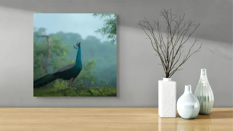 Tablou Canvas, "Pavo strălucitor în zori verzi", Păun, Verdeață, Ceață, Eleganță, Natură, Serenitate, Frumusețe, Pădure, Siluetă, Mister., 50 x 50 cm – poza 3