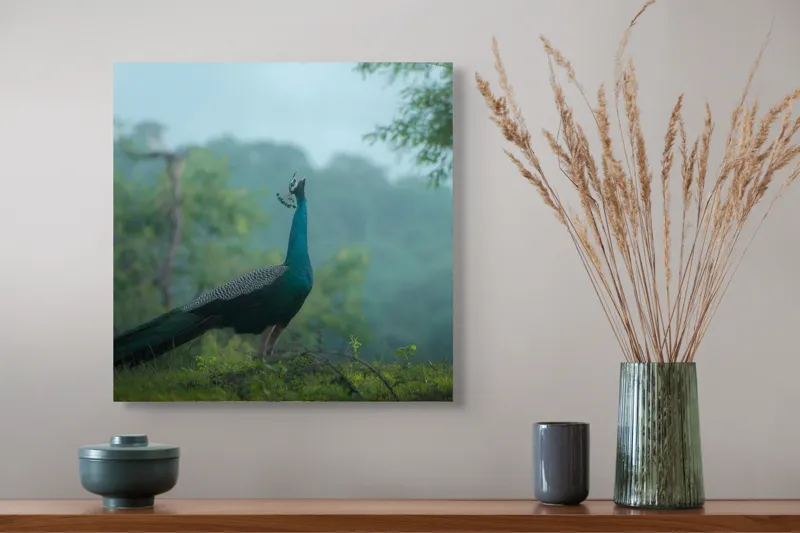 Tablou Canvas, "Pavo strălucitor în zori verzi", Păun, Verdeață, Ceață, Eleganță, Natură, Serenitate, Frumusețe, Pădure, Siluetă, Mister., 50 x 50 cm – poza 4
