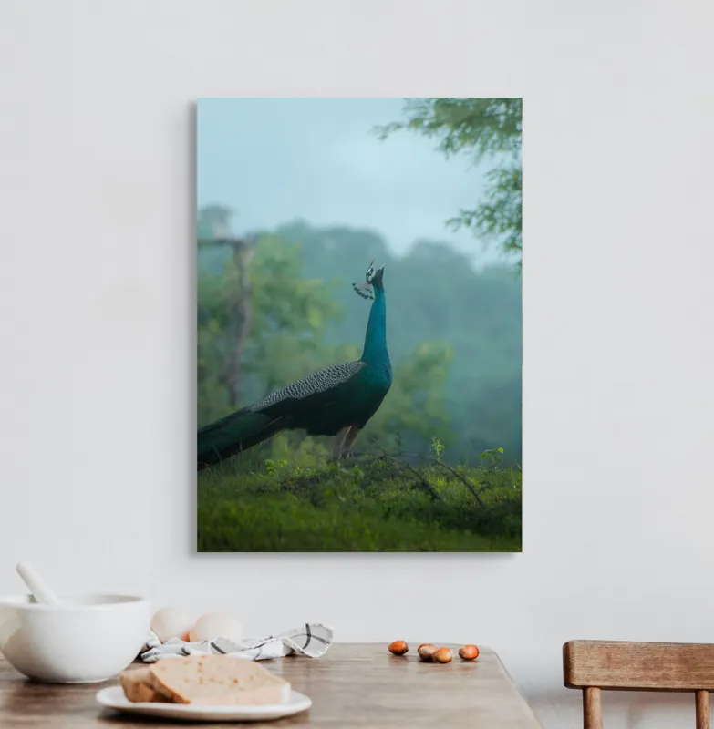 Tablou Canvas, "Pavo strălucitor în zori verzi", Păun, Verdeață, Ceață, Eleganță, Natură, Serenitate, Frumusețe, Pădure, Siluetă, Mister., 50 x 70 cm – poza 3