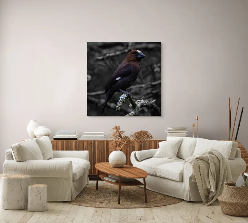 Tablou Canvas, "Pasărea solitară pe ramură veche", Pasăre, Ramură, Ochi, Penaj, Melancolie, Natură, Contrast, Solitudine, Eleganță, Penar, Liniște, Observație, 100 x 100 cm – poza 3