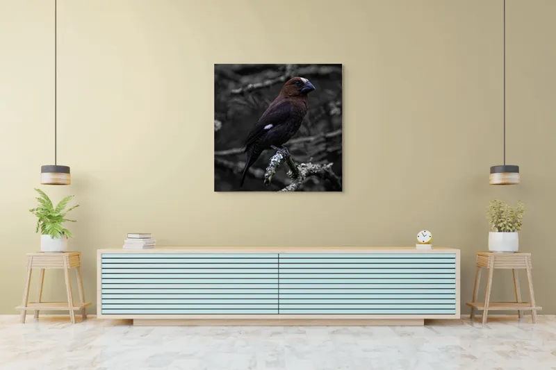Tablou Canvas, "Pasărea solitară pe ramură veche", Pasăre, Ramură, Ochi, Penaj, Melancolie, Natură, Contrast, Solitudine, Eleganță, Penar, Liniște, Observație, 100 x 100 cm – poza 5