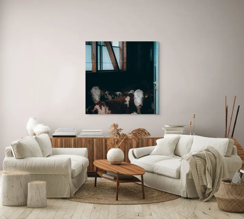 Tablou Canvas, "Vaci odihnindu-se în grajd întunecat", Blândețe, Lumină, Serenitate, Fereastră, Întuneric, Odihnă, Calm, Rural., 100 x 100 cm – poza 3