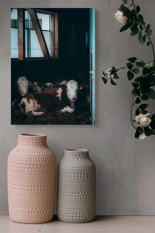 Tablou Canvas, "Vaci odihnindu-se în grajd întunecat", Blândețe, Lumină, Serenitate, Fereastră, Întuneric, Odihnă, Calm, Rural., 39 x 54 cm – poza 6