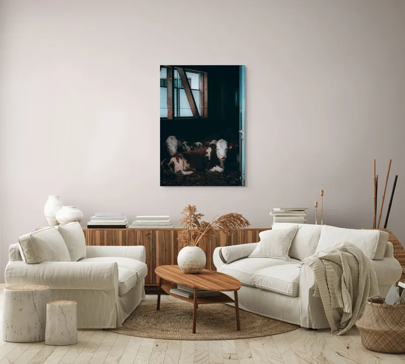 Tablou Canvas, "Vaci odihnindu-se în grajd întunecat", Blândețe, Lumină, Serenitate, Fereastră, Întuneric, Odihnă, Calm, Rural., 70 x 100 cm – poza 4