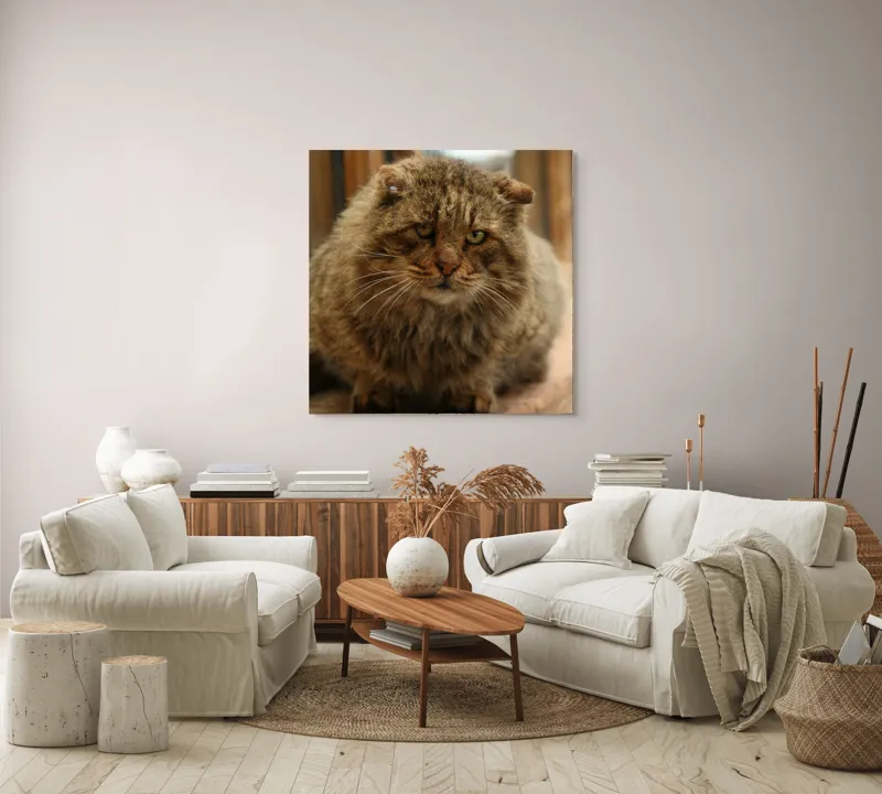 Tablou Canvas, "Pisica înțeleaptă la marginea ferestrei", 100 x 100 cm – poza 3