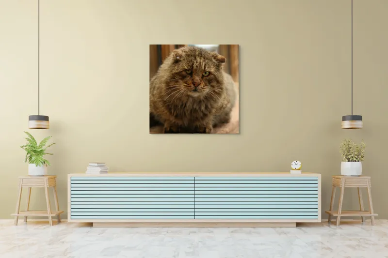 Tablou Canvas, "Pisica înțeleaptă la marginea ferestrei", 100 x 100 cm – poza 5